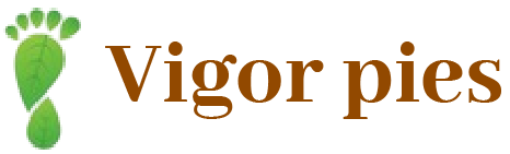 VigorPies Logo